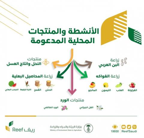 خطوات التسجيل للحصول على الدعم الريفي