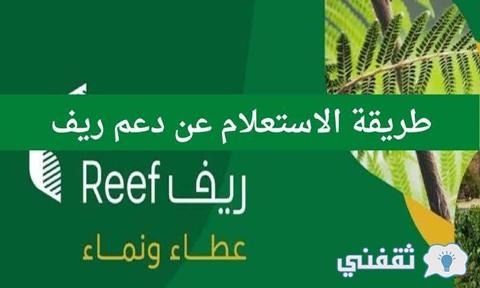 رابط الاستعلام عن دعم ريف