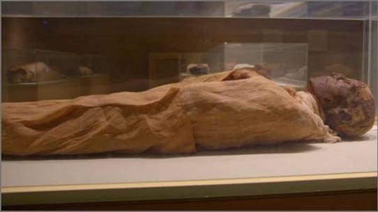 Pharaoh s body in the Egyptian Museum