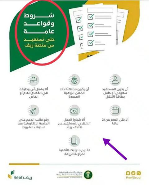 كم مبلغ دعم ريف للعاطلين والشروط المطلوبة ؟