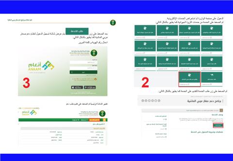 التقديم في برنامج دعم المواشي وزارة البيئة والمياه والزراعة