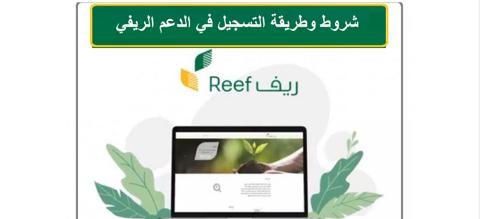 شروط دعم ريف تسجيل الدخول للاسر المنتجة