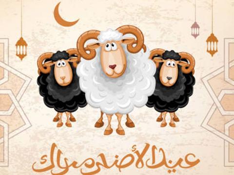 عبارات تهنئة عيد الأضحى رسمية بالاسم