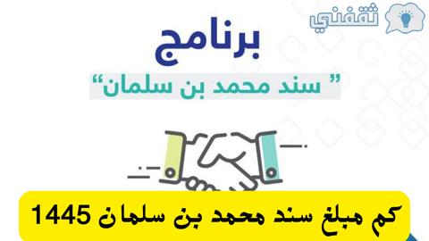 كم مبلغ سند للمعاقين؟