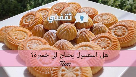 ما الفرق بين معمول الطحين و معمول السميد؟