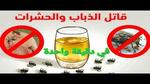 ضاع عمرنا منعرفش الحل الصح.. طرد الذباب