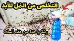 رشه واحده بمكون ميخطرش على بالك لطرد النمل