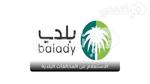 الاستعلام عن المخالفات البلدية برقم السجل Balady