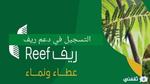 طريقة التسجيل في دعم ريف 1444 رابط التقديم Reef.Gov وشروط الدعم الجديدة