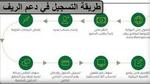 كيف يتم بالخطوات التسجيل فى دعم ريف الجديد