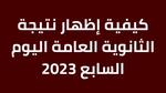 فقط بنقرة واحدة.. إظهار نتيجة الثانوية العامة