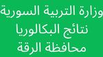 الاستعلام عن نتائج البكالوريا 2023 الرقة حسب