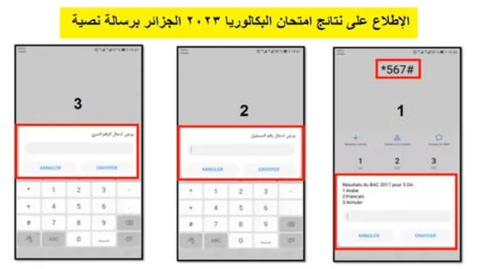 “مجاناً” استخرج نتائج البكالوريا 2023 برسالة