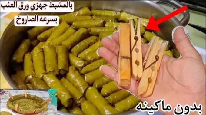 طول عمرنا نلف الكرنب وورق العنب غلط سيلفي اكبر