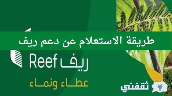 الاستعلام عن دعم ريف 1444 برقم الهوية Reef.Gov وشروط استحقاق الدعم