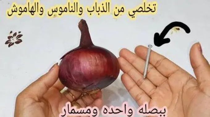 المعجزة الخارقه.. هاتى بصله ومسمار وانسي