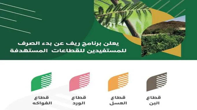 رابط ريف تسجيل الدخول النفاذ الوطني برقم الهوية