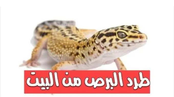 بدون لمس نهائيا.. طريقة القضاء على البرص بدون