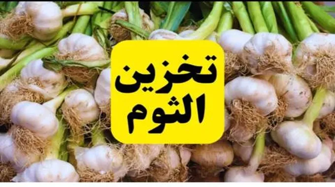 طريقة تخزين الثوم من السنة للسنة بدون ما لونه