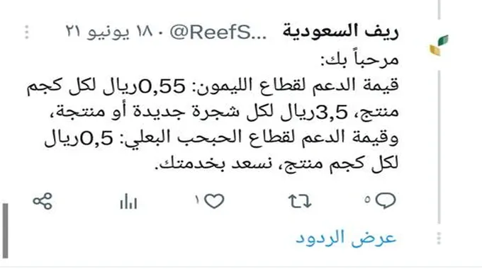 كم دعم الليمون في ريف والشروط المطلوبة 1445 كم