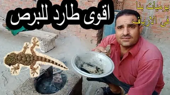 بدون لمسه نهائي.. بمكون سحري طرد البرص والوزغ