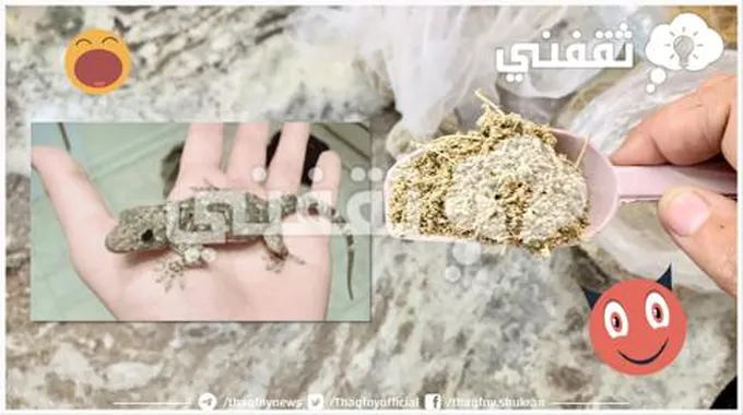 مكون مش هيخطر على بالك لطرد البرص من البيت بدون