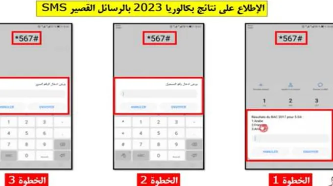 نتائج البكالوريا الجزائر 2023 باستخدام الموقع