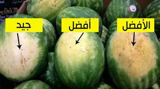 وداعا لغش التجار .. كيفية معرفة البطيخة الحمراء