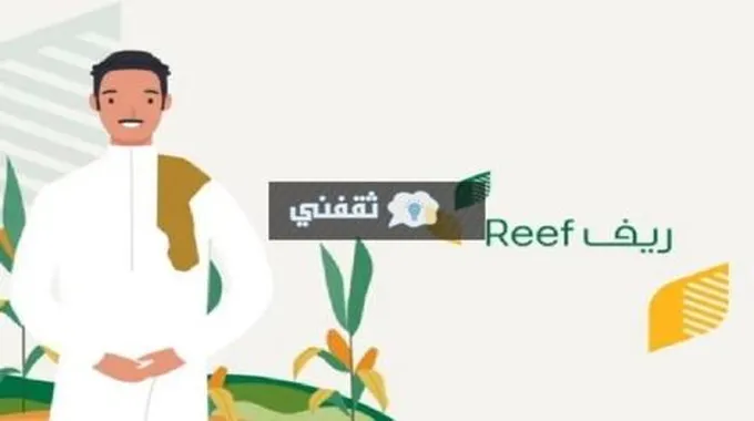 أسباب حالة عدم استحقاق دعم ريف وطريقة الاعتراض