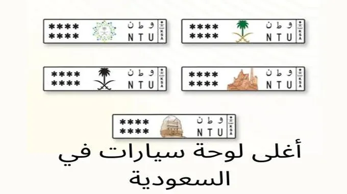 تعرف علي سعر أغلي لوحة في مزاد أبشر الإلكتروني