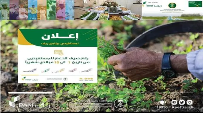 رابط تسجيل دخول منصة دعم ريف Reef.Gov.Sa “مُخصص