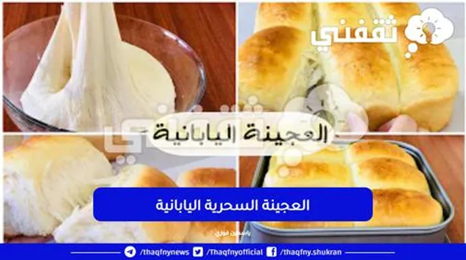 العجينة السحرية اليابانية تستخدم لجميع أنواع