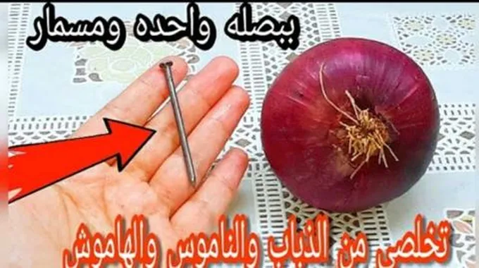 حتي لو الدنيا حر ببصله واحده ومسمار وتخلصي من