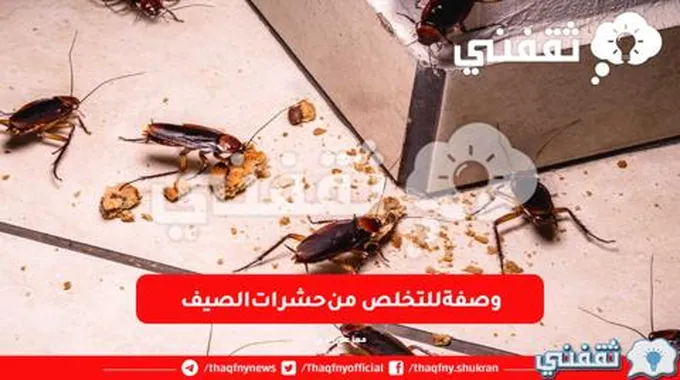 انسى الازعاج.. وصفة للتخلص من حشرات الصيف