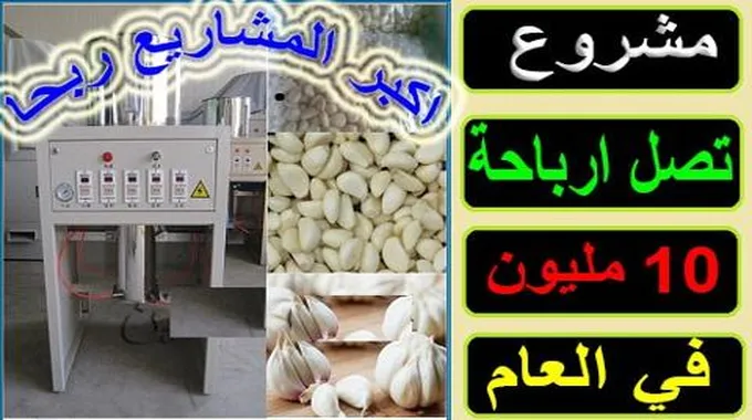 تقشير الثوم بسرعة الصاروخ هتقشري 20 كيلو في 3