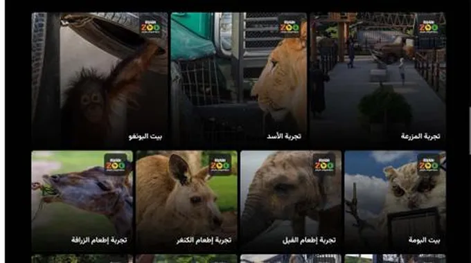 شراء تذاكر حديقة الحيوان في الرياض Riyadh Zoo