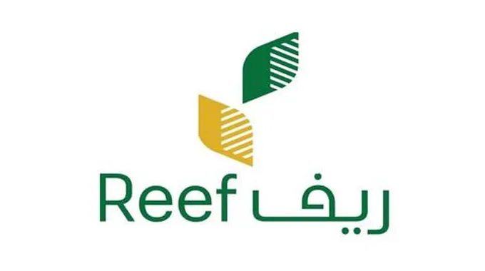 كم يبلغ دعم ريف للعاطلين 1445 السعودية Reef.Gov