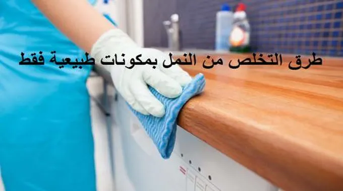 ما هي أسرع طرق التخلص من النمل بمكونات طبيعية