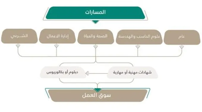 ما طريقة توزيع الدرجات في نظام المسارات ؟