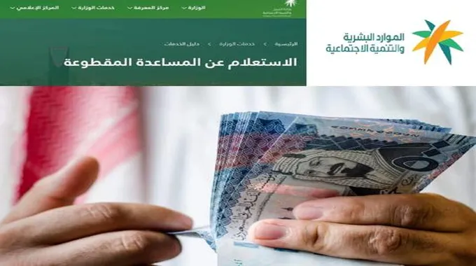 بالتزامن مع ارتفاع الأسعار الجنوني.. عودة