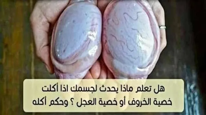 هل تعلم ماذا يحدث لجسمك إذا أكلت خصـية الخروف