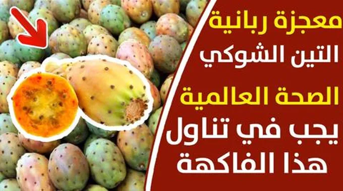 فوائد التين الشوكي على الريق وتخلص من هذه