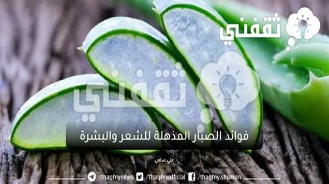 منها محاربة الشيخوخة.. فوائد الصبار المذهلة