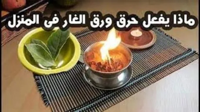 عليكم بحرق ورقة من أوراق الغار بمنزلكم يوميا