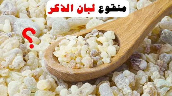 فوائد لبان الذكر على الريق كل ليلة فهذا ما