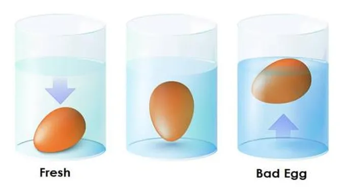 طرق الكشف عن البيض الفاسد ونصائح لشراء البيض