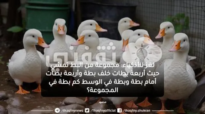 لغز للأذكياء .. مجموعة من البط تمشي حيث أربعة