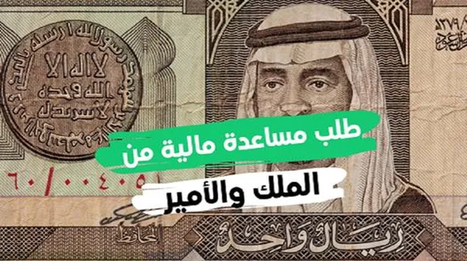 خطوات وشروط الحصول على مساعدة مالية من الديوان