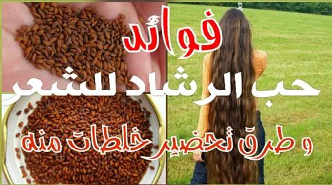 وصفة حب الرشاد أقوي علاج لتقصف وتساقط الشعر