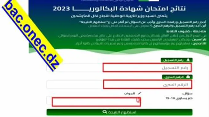 رابط نتائج شهادة البكالوريا بالجزائر 2023